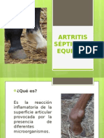 Artritis Séptica en Quinos