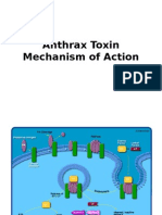 Anthrax Toxin Mechanism of Actions