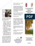 Plantaciones Arboles PDF