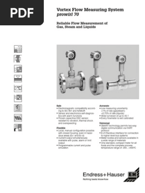 Endress Hauser Flow Measurement Density