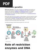 Molecular Genetics