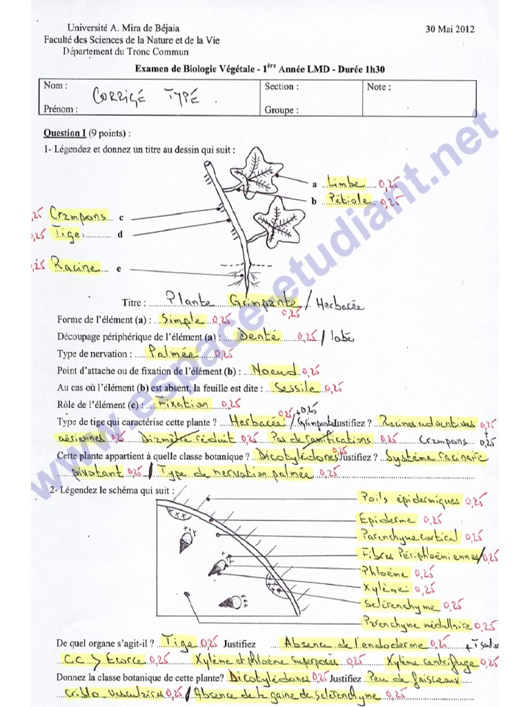 Examen De Biologie Vegetale Corrige Universite Bejaia 2012 Pdf