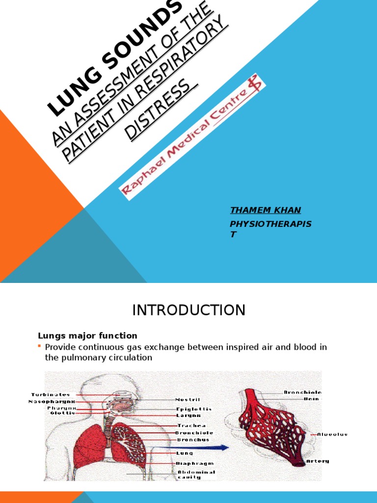 Lung Sounds | PDF | Respiratory Tract | Lung