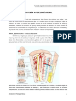 Netter anatomia renal.pdf