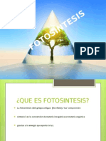 Presentacion de Fotosintesis