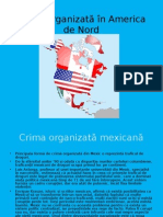 Crima Organizată În America de Nord