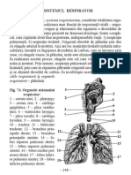 2.Sistemul Respirator