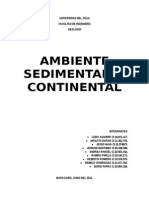 Sedimentacion Continental