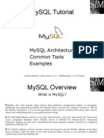 MySQL Basic