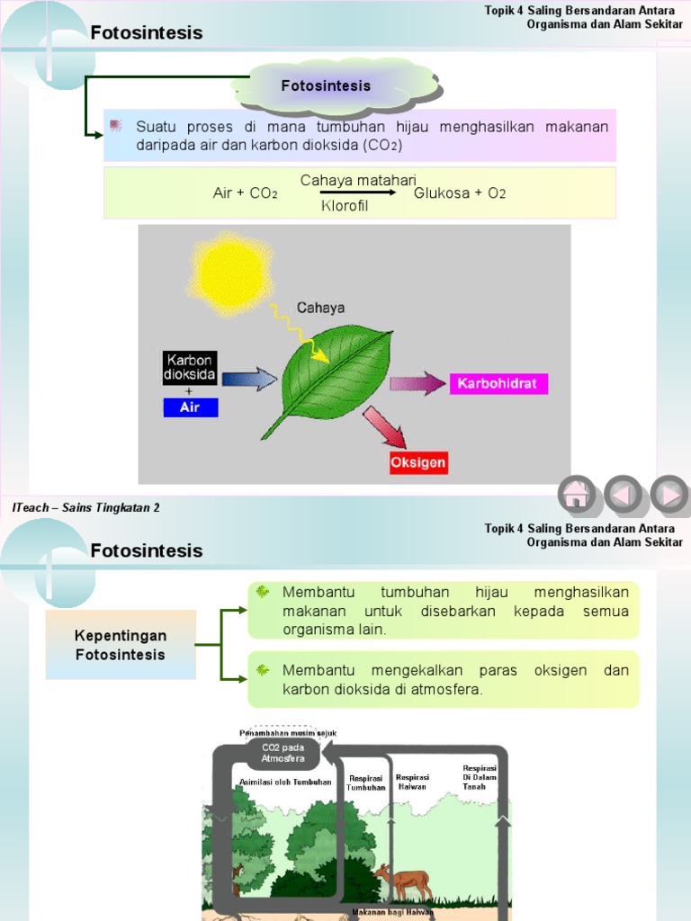 Kitar Karbon  PDF