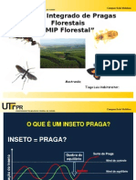 Apresentacao MIP