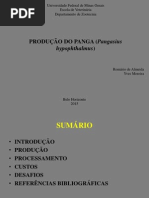 Produção do PANGA