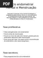 Ciclo Endometrial Mensal e Menstruação 