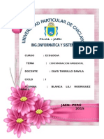 ROSAS 1.docx