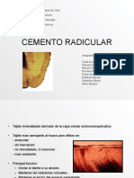 Cementoradicular 090404221812 Phpapp02