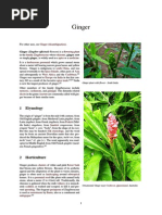 Download Ginger by thippli SN268534858 doc pdf