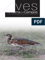 Aves de Tierra de Campos Palencia