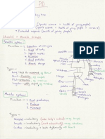 PDHPE Notes Year 10