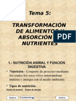 Transformación de Alimentos y Absorción de Nutrientes