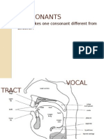 Consonants: What Makes One Consonant Different From Another?