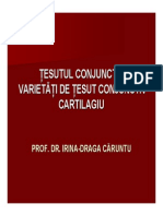 Curs 6 Tesutul Conjunctiv Ppt