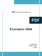 EXECUTARE SILITĂ