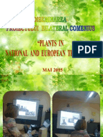 Diseminare PROIECT BILATERAL COMENIUS "PLANTS IN NATIONAL AND EUROPEAN TRADITIONS"