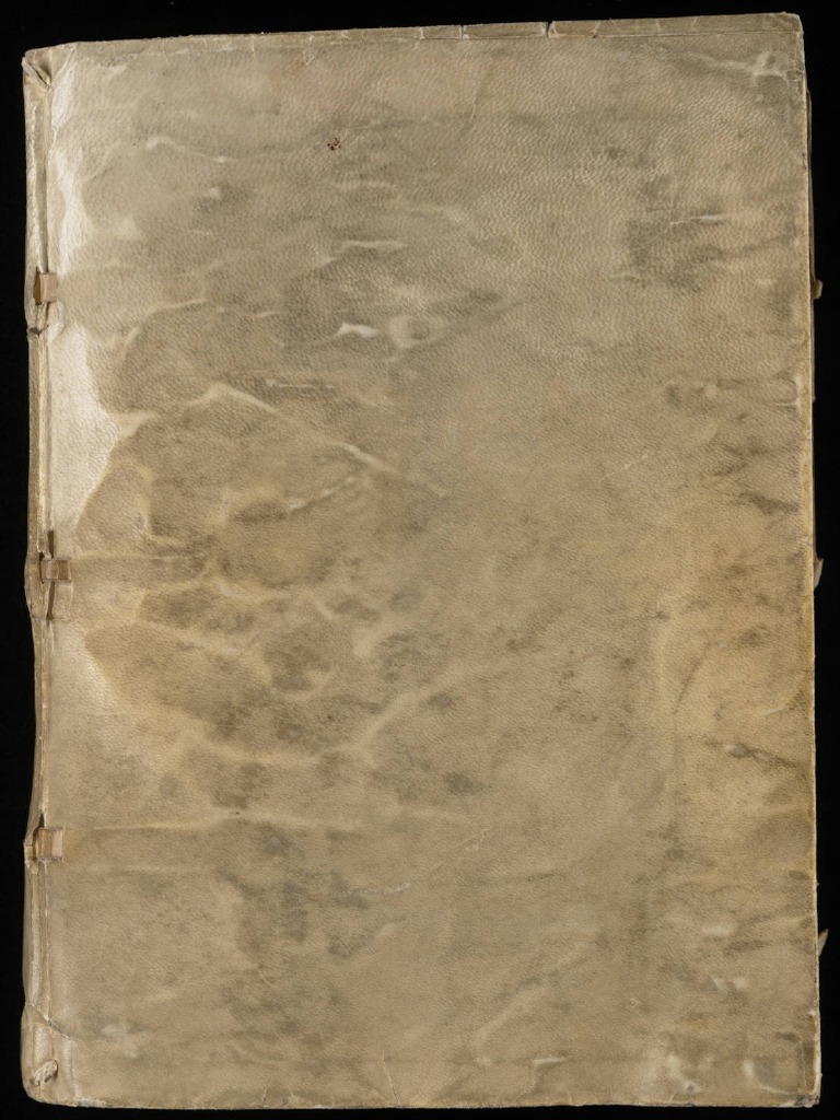 Vojnicev Rukopis. | PDF