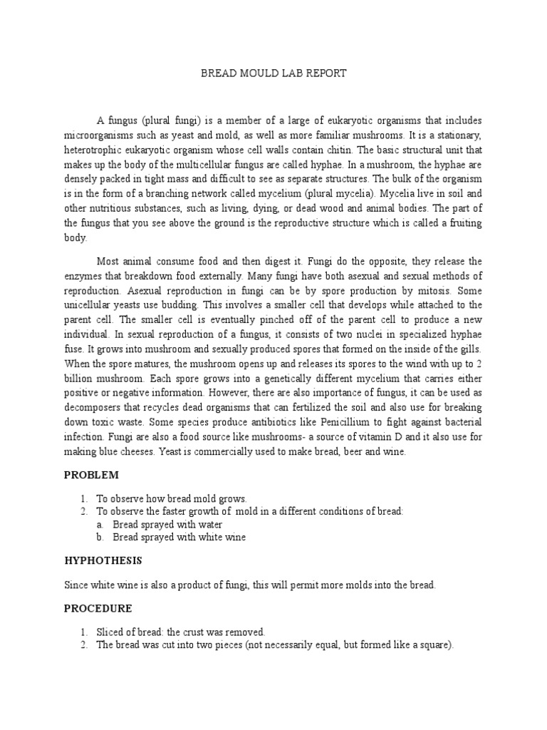 Bread Mould Lab Report PDF Fungus Mold