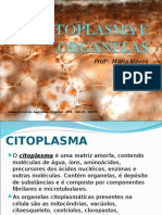 CITOPLASMA E ORGANELAS.ppt