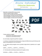 Teste CN 3º Periodo