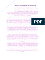 La Responsabilidad Civil y Penal de Los Accionistas