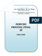 Derecho Procesal Penal III