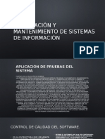 Aplicacion de Pruebas de Sistemas Diapositivas en Binas