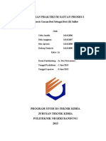 Laporan Praktikum Satuan Proses i Besi Sulfat