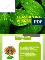 Types of Plants