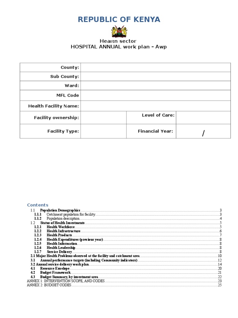 hospital-annual-work-plan-format-final-health-professional-violence