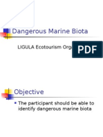 Dangerous Marine Biota: LIGULA Ecotourism Organizer