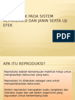 Efek Toksik Pada Sistem Reproduksi Dan Janin Serta