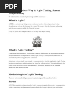 Test Methodology PDF