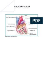 Sistemi Kardiovaskular