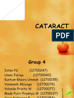 Cataract Group 4