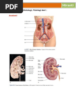 Download MIRANTI-1-UROGENITAL by Miranti Dewi Puspitasari SN268635469 doc pdf