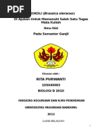 Download Rita Purwanti - Brokoli by pw2467 SN268642574 doc pdf