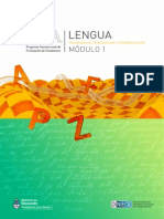 Pisa 2012 Lengua Modulo 1