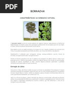 Borracha