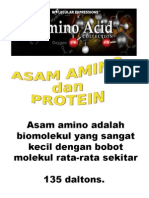 Asam Amino