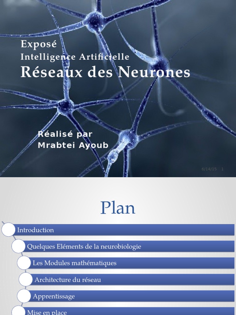 Réseaux de Neurones Artificiels | PDF | Réseau de neurones artificiels ...