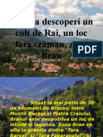 Vino Sa Descoperi Un Colt de Rai