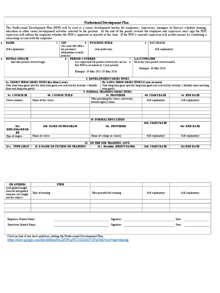 Professional Development Plan | PDF